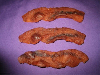Fried Bacon, Wax, 3 Pcs. Wax Fake Food, Props, Display