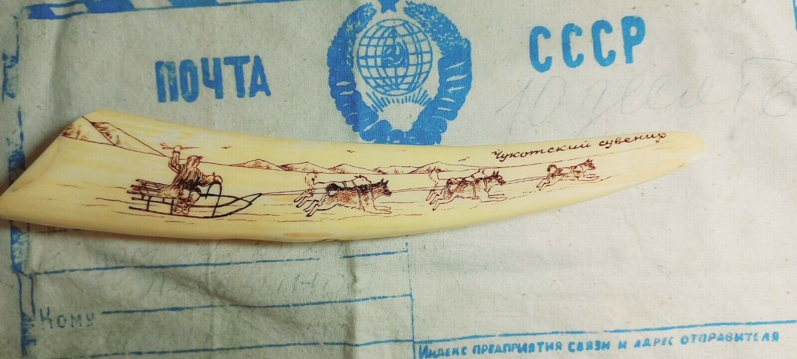 Large Copy  Walrus Tooth Made  Plastic Vintage Circa 1950 Ussr Chukotka Souvenir